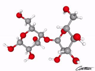 A three-dimensional representation of Maltose