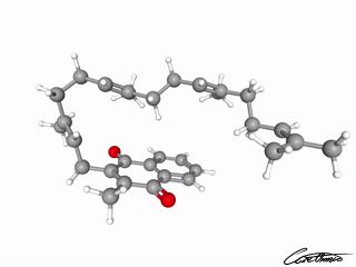 A three-dimensional representation of Menaquinone-4