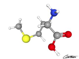 A three-dimensional representation of Methionine