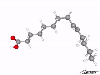 A three-dimensional representation of Myristelaidic acid (14:1 t)