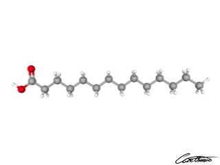 A three-dimensional representation of Myristic acid (14:0)