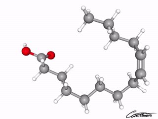 A three-dimensional representation of Myristoleic acid (14:1)