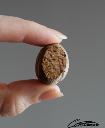 A grated nutmeg held between two fingers