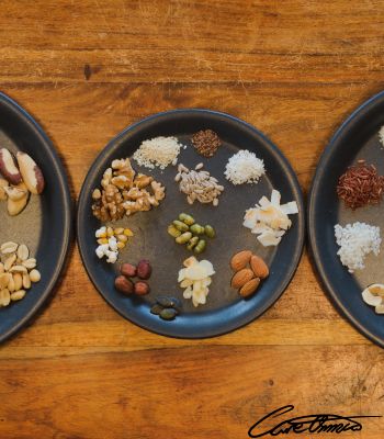 Three plates with several different grains, spices, nuts and seeds on a wooden surface