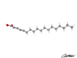 A three-dimensional representation of Octadecadienoic acid (18:2 c)