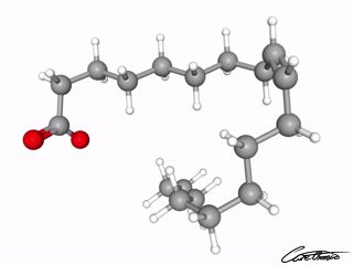 A three-dimensional representation of Oleate (18:1 c)