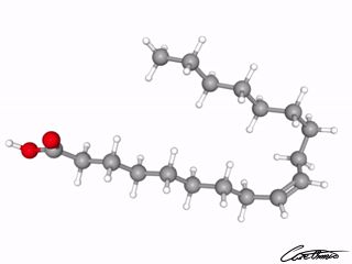 A three-dimensional representation of Oleic acid (18:1)