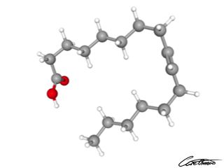 A three-dimensional representation of Palmitelaidic acid (16:1 t)