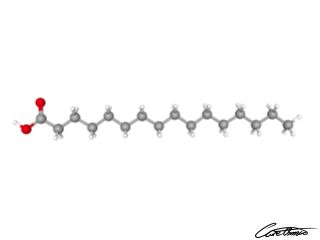 A three-dimensional representation of Palmitic acid (16:0)