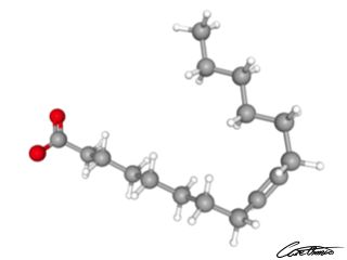 A three-dimensional representation of Palmitoleate (16:1 c)