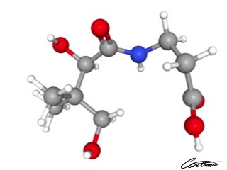 A three-dimensional representation of Pantothenic acid
