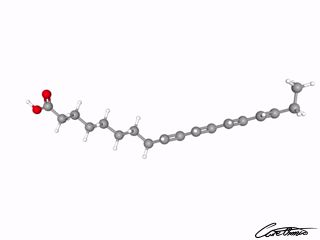 A three-dimensional representation of Parinaric acid (18:4)