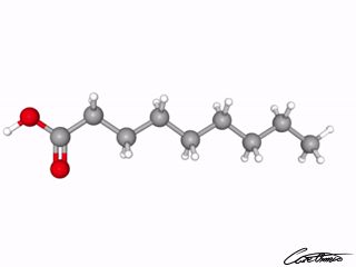 A three-dimensional representation of Pelargonic Acid (9:0)