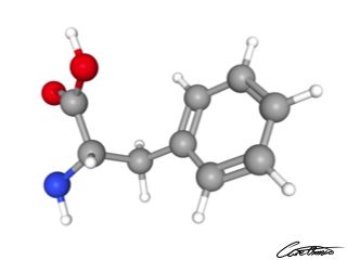 A three-dimensional representation of Phenylalanine
