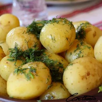 boiled potato, Scandinavian boiled potato with dill, dill leaves, new potato, fresh potato