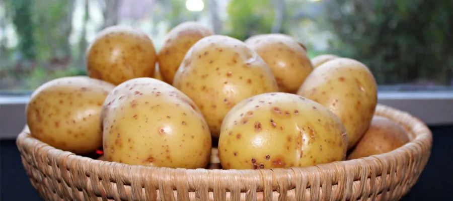 Care Omnia Basket Full Of Potatoes