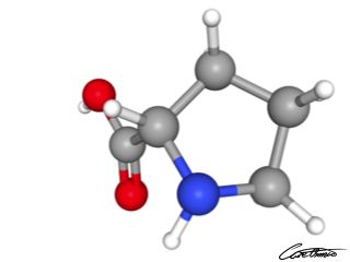 A three-dimensional representation of Proline