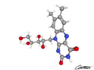 A three-dimensional representation of Riboflavin