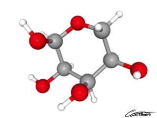 A three-dimensional representation of Ribose