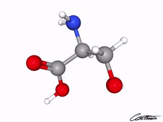 A three-dimensional representation of Serine