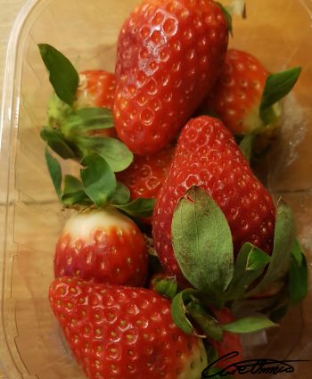 Fresh strawberries