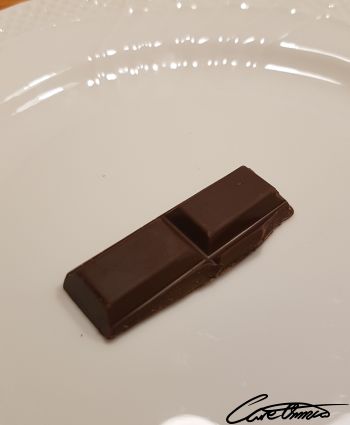 Two pieces of dark chocolate on a plate