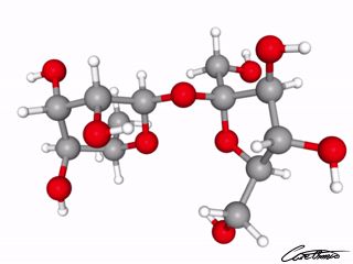 A three-dimensional representation of Sucrose