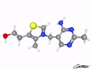 A three-dimensional representation of Thiamin