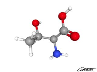 A three-dimensional representation of Threonine