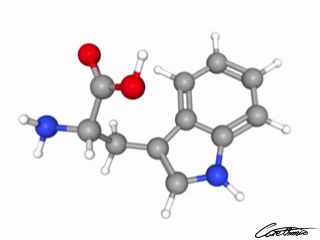 A three-dimensional representation of Tryptophan