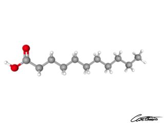 A three-dimensional representation of Undecanoic acid (11:0)