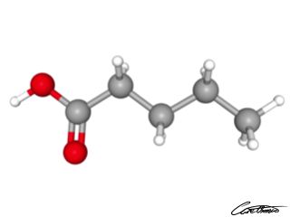 A three-dimensional representation of Valeric acid (5:0)