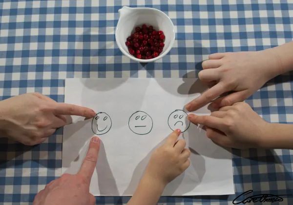 Taste Of Lingonberries: Fresh, Frozen, Jams, Juice + More - Old vs young! Care Omnia Fresh Lingonberries Taste Test