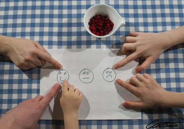 Taste Of Lingonberries: Fresh, Frozen, Jams, Juice + More - 3 smiles and 2 unhappy faces Care Omnia Frozen Lingonberries Taste Test
