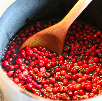 Taste Of Lingonberries: Fresh, Frozen, Jams, Juice + More - Can you see the nutrients? I can! Care Omnia Lingonberries In Pot