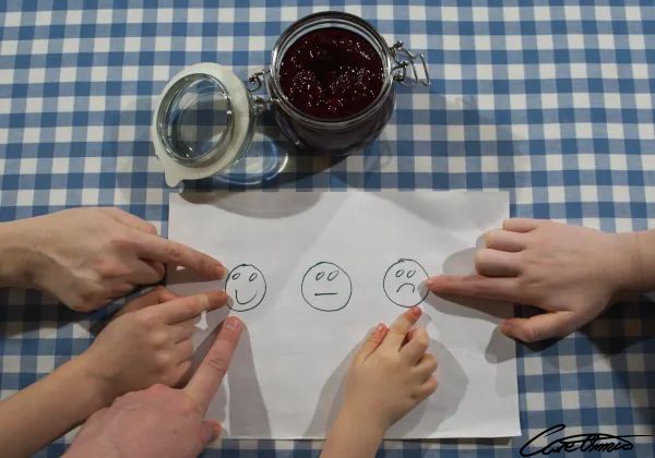 Taste Of Lingonberries: Fresh, Frozen, Jams, Juice + More - No middle ground here! Care Omnia Raw-Stirred Lingonberry Jam Taste Test