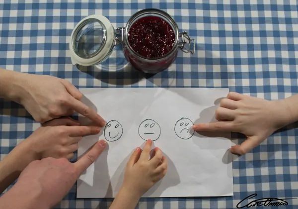 Care Omnia Traditional Lingonberry Jam Taste Test