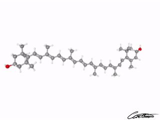 A three-dimensional representation of Zeaxanthin